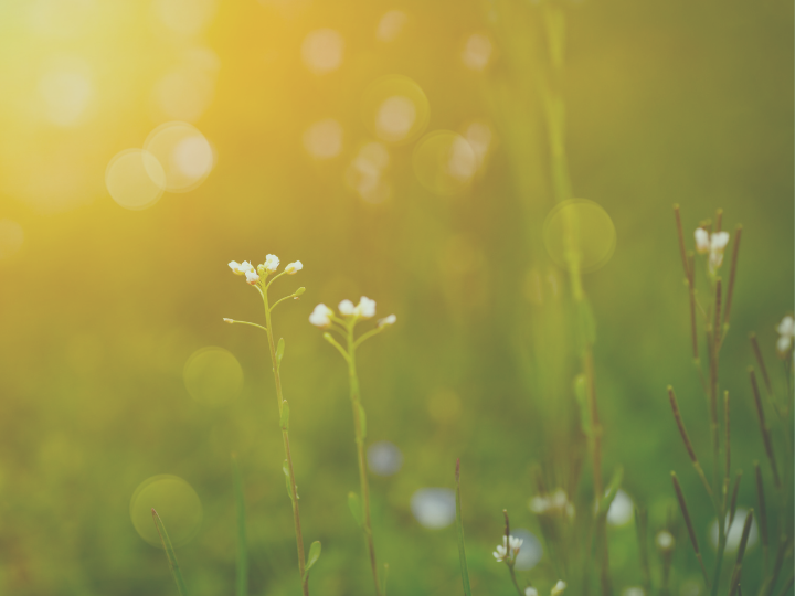 Closing the Chapter with Dignity